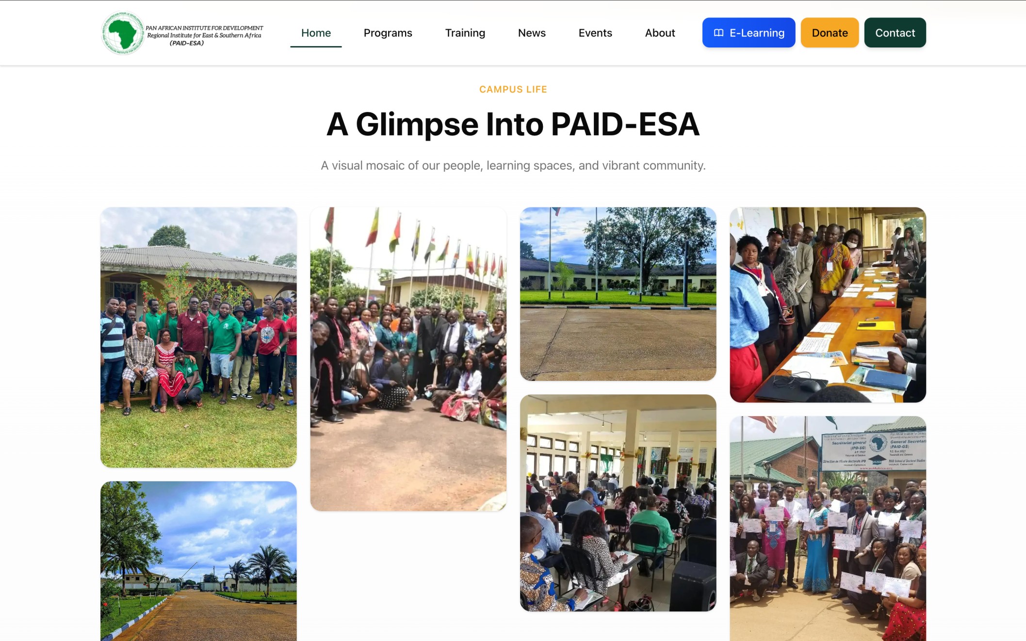 PAID-ESA Institutional Website - Image 4